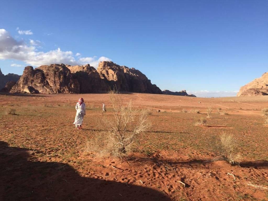 Wadi Rum-Bedouin Tents And Jeep Tours Eksteriør bilde