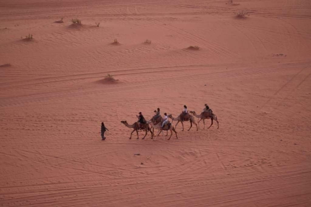 Wadi Rum-Bedouin Tents And Jeep Tours Eksteriør bilde