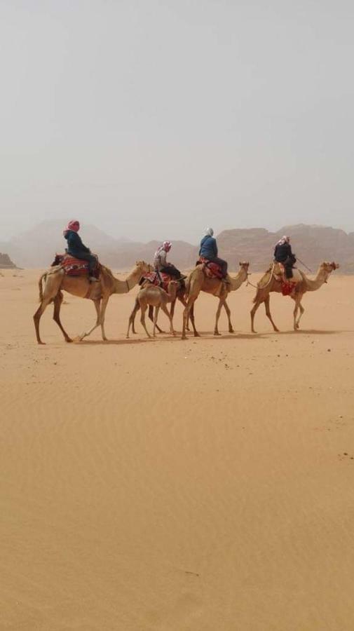 Wadi Rum-Bedouin Tents And Jeep Tours Eksteriør bilde